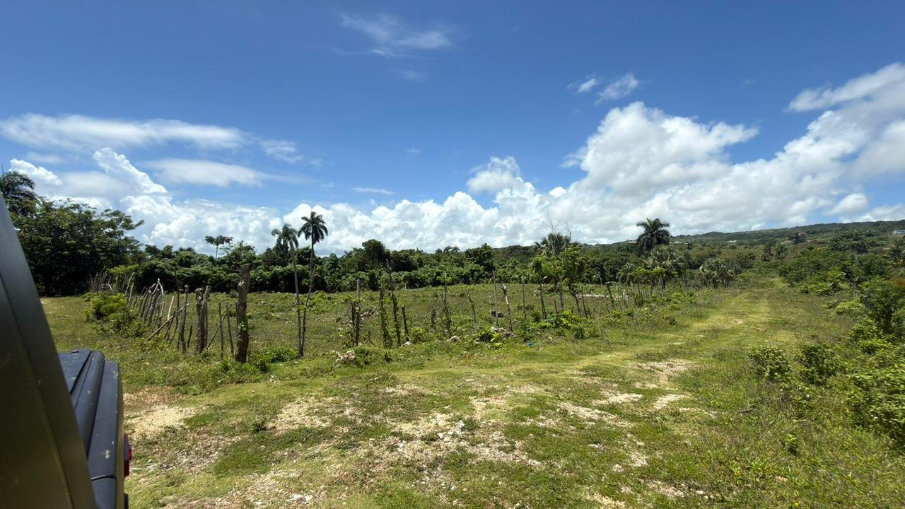 El Terreno